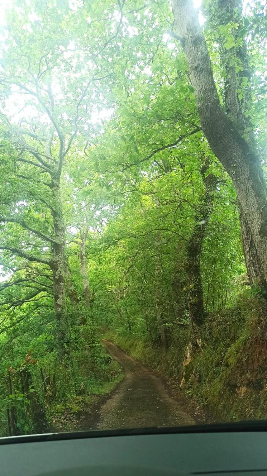 Casa Rural La Collada Sorribas  Zewnętrze zdjęcie